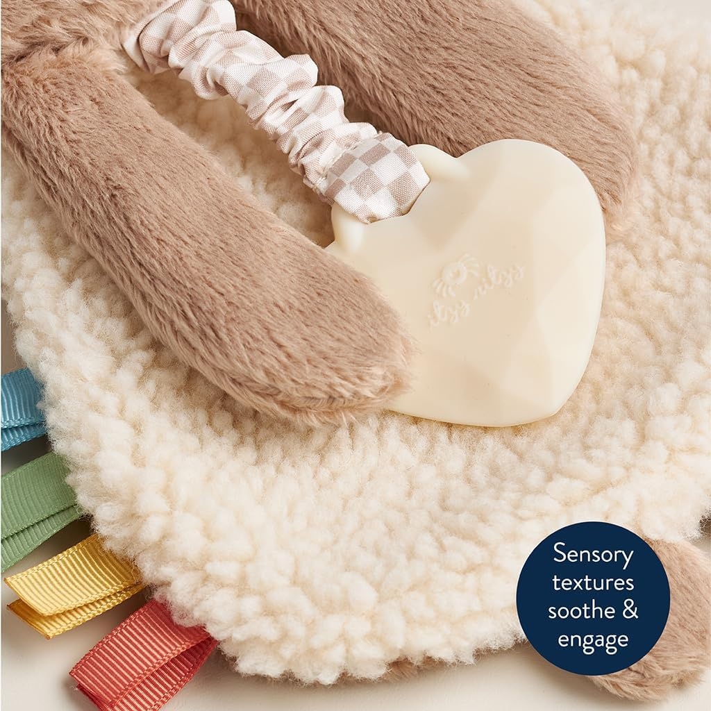 image:imageItzy Ritzy Itzy Lovey Including Teether Baby Lovey with Teether Textured Ribbons amp Dangle Arms Features Crinkle Sound Sherpa Fabric and Minky Plush BearBear
