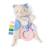 Kitty