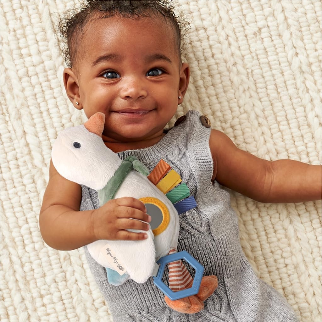 image:imageItzy Ritzy Bitzy Traveler Car Seat amp Stroller Toy for Babies Developmental Sensory Toy Features Crinkle amp Rattle Sounds amp Multiple Textures Hanging Travel Toy for OntheGo Entertainment DinosaurGoose
