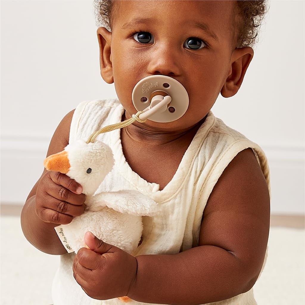 image:imageItzy Ritzy Pacifier amp Lovey Set Natural Rubber Paci with Stuffed Animal Lovey Detachable Plush Bear Pacifier Holder amp Coordinating Natural Rubber Soother Ideal for Ages 06 Months BearGoose