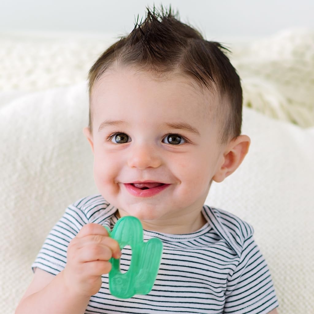 image:imageItzy Ritzy WaterFilled Teethers Cold Cutie Coolers Textured On Both Sides to Massage Sore Gums amp Emerging Teeth Can Be Chilled in Refrigerator Set of 2 Green Cactus Water TeethersCactus