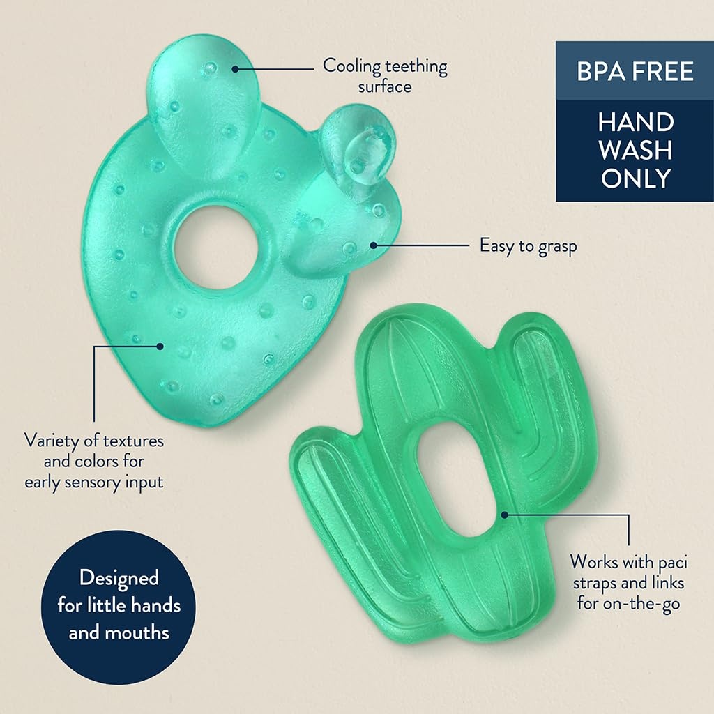 image:imageItzy Ritzy WaterFilled Teethers Cold Cutie Coolers Textured On Both Sides to Massage Sore Gums amp Emerging Teeth Can Be Chilled in Refrigerator Set of 2 Green Cactus Water TeethersCactus