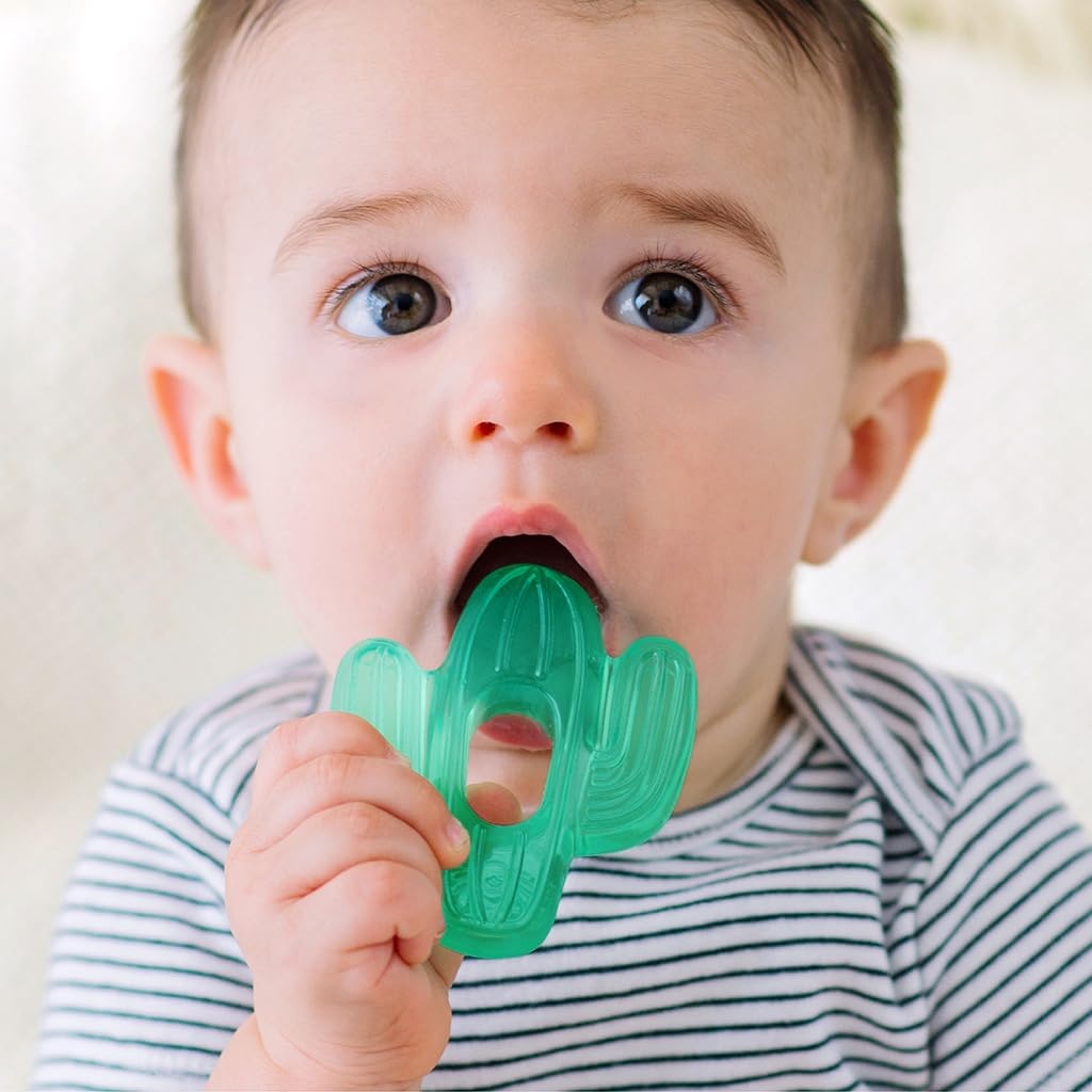 image:imageItzy Ritzy WaterFilled Teethers Cold Cutie Coolers Textured On Both Sides to Massage Sore Gums amp Emerging Teeth Can Be Chilled in Refrigerator Set of 2 Green Cactus Water TeethersCactus